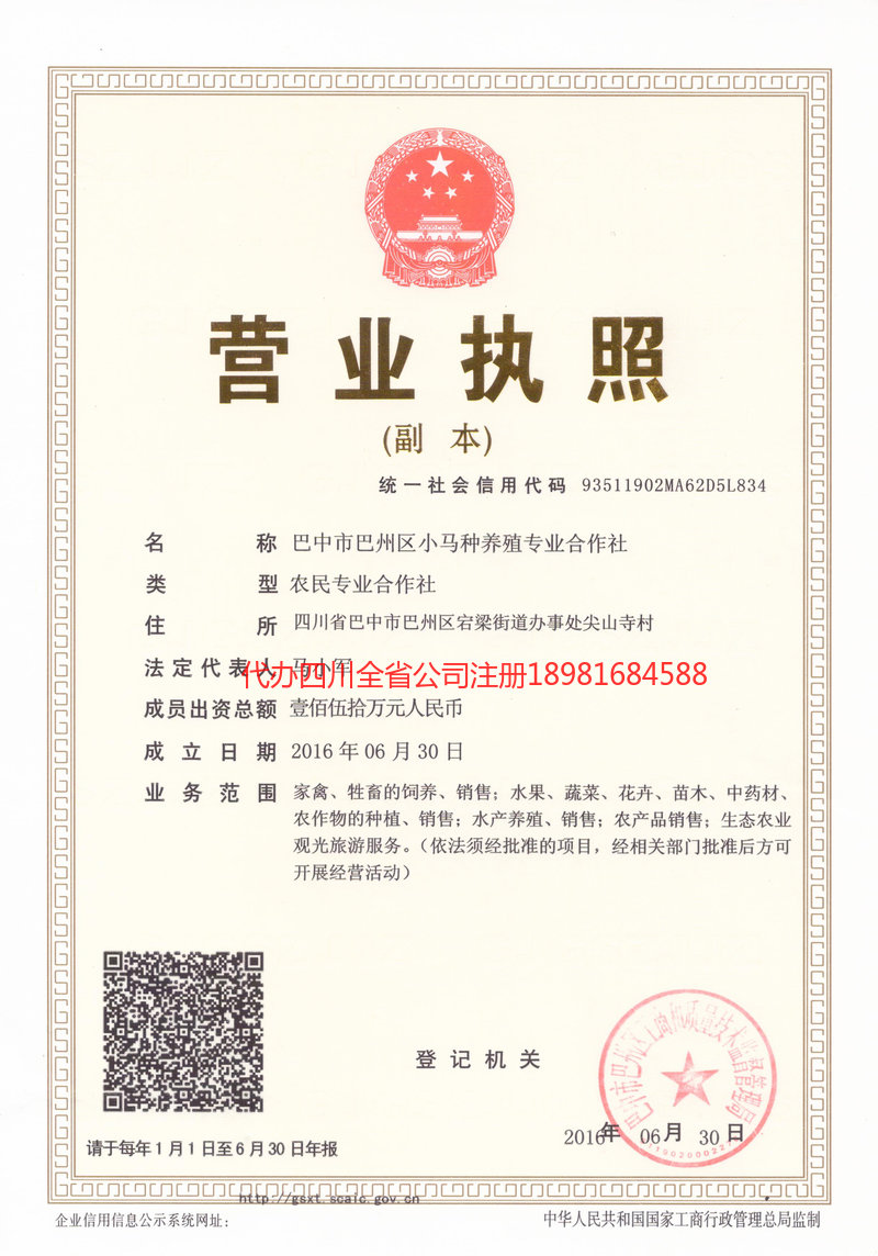 高安高安小马种养殖专业合作社